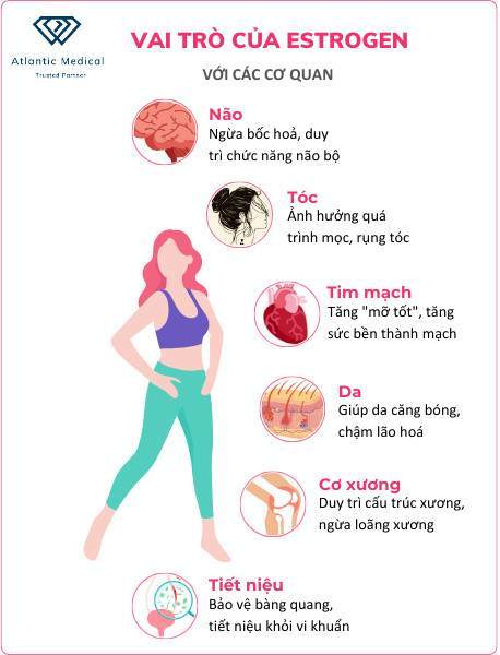 Tác dụng của estrogen lên da, tóc, móng