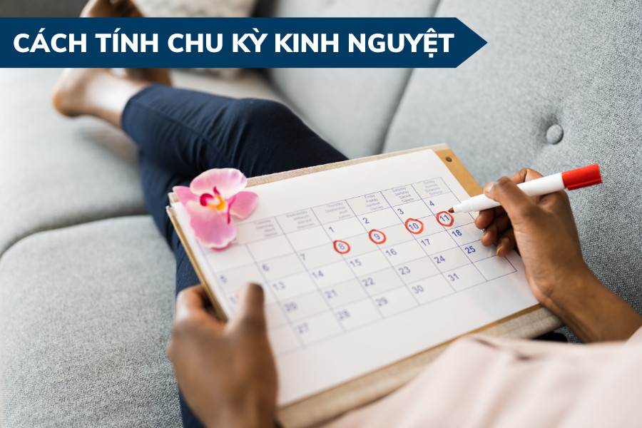 Cách tính chu kỳ kinh nguyệt