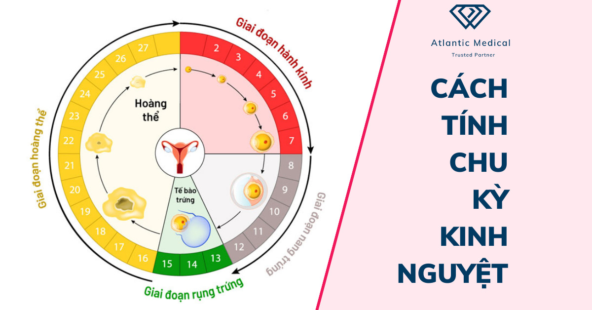 Lão hoá da-Biểu hiệu, nguyên nhân và giải pháp