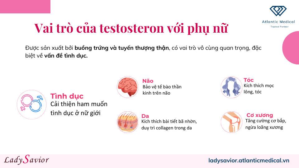 Vai trò của testosteron với phụ nữ