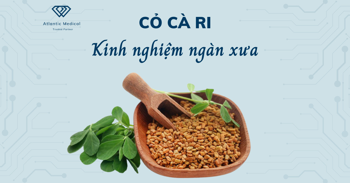 Hạt cỏ cà ri - kinh nghiệm ngàn xưa