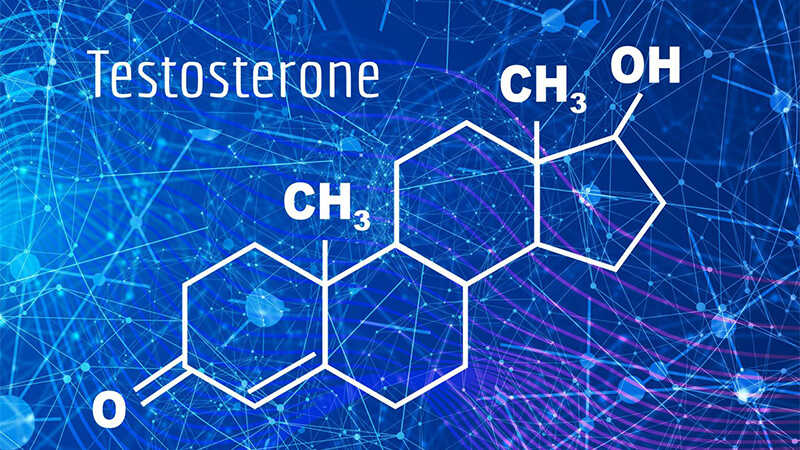 Hormon testosteron rất quan trọng đối với sức khỏe ở cả nam và nữ