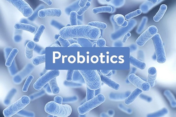 Probiotic – bước tiến mới giúp phòng và ngăn ngừa tái phát viêm nhiễm phụ khoa